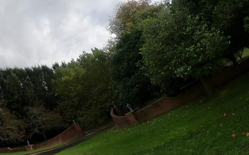 50 Normanby Road