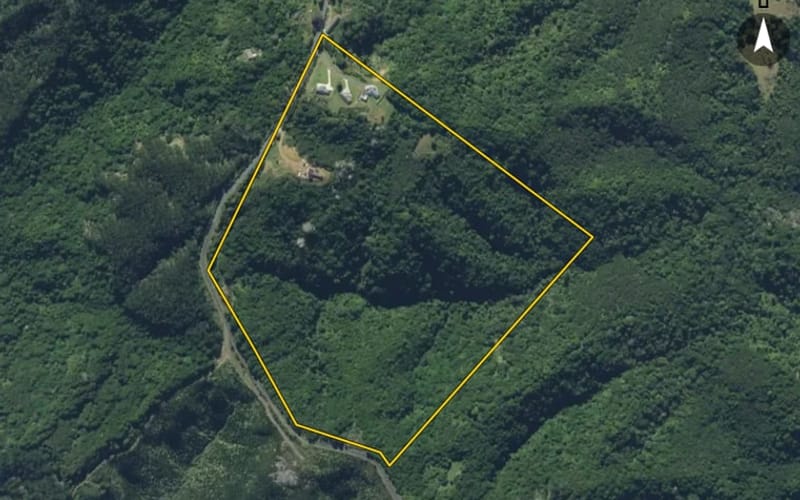 291 Mt Tiger Road