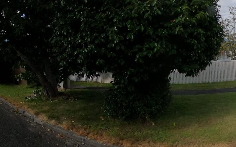 28 Hazelmere Road
