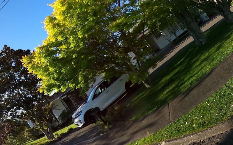 71 Fergusson Drive