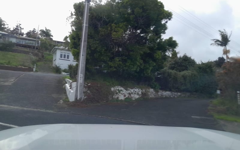 36 Punga Grove Avenue