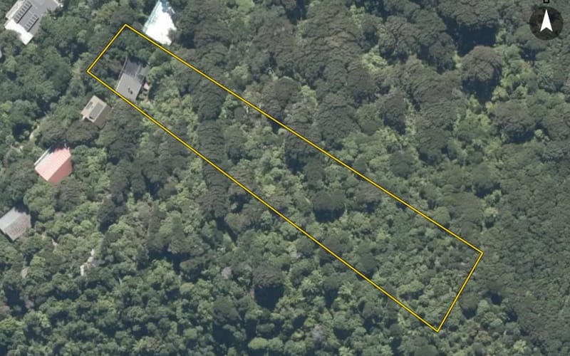 11 Karaka Street