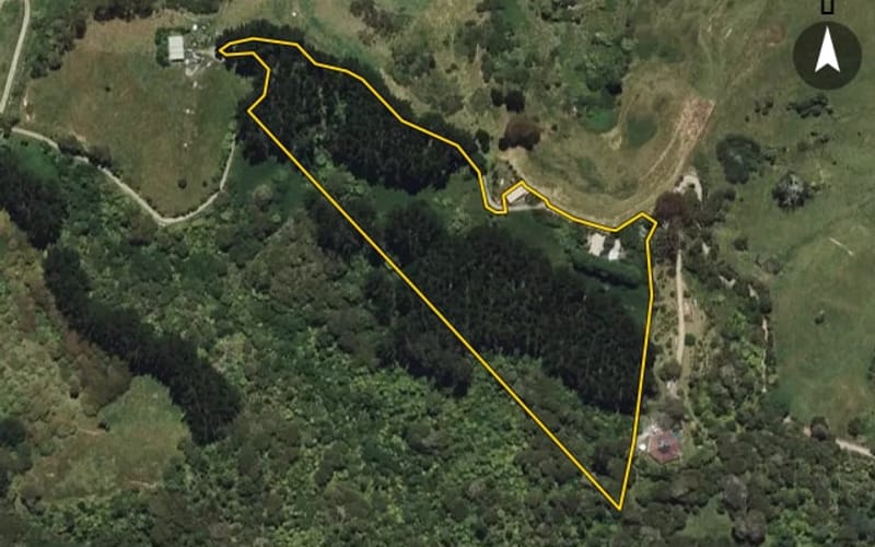181C McCoy Road