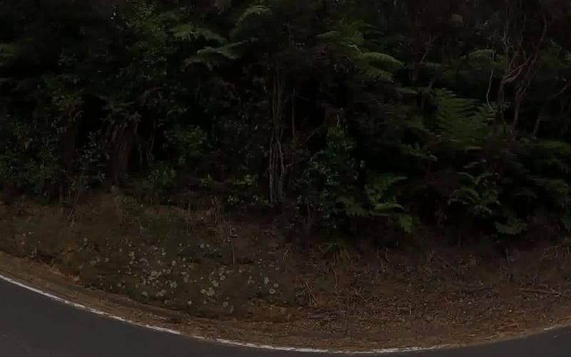 1025 Matapouri Road
