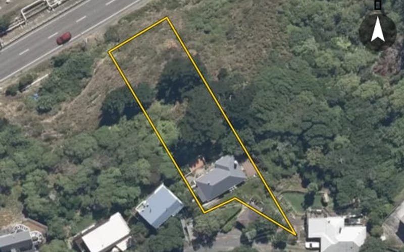 11 Nikau Road