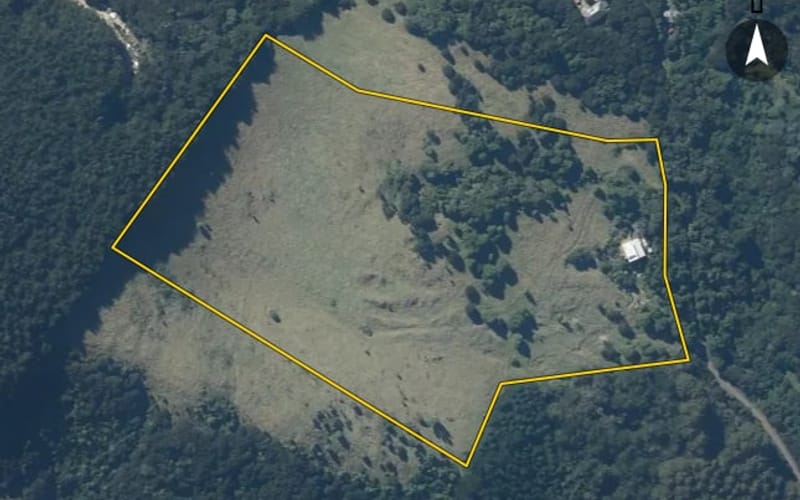 65 Bachelors Road