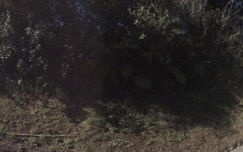 538 Krippner Road
