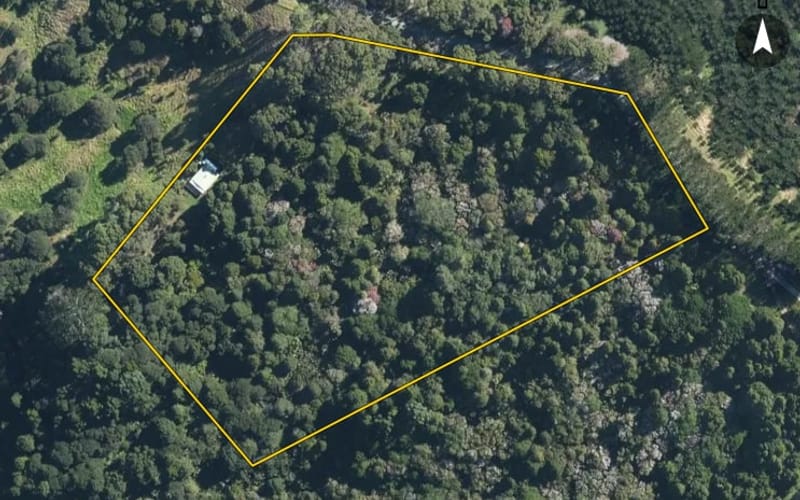 166 Kaipara Hills Road