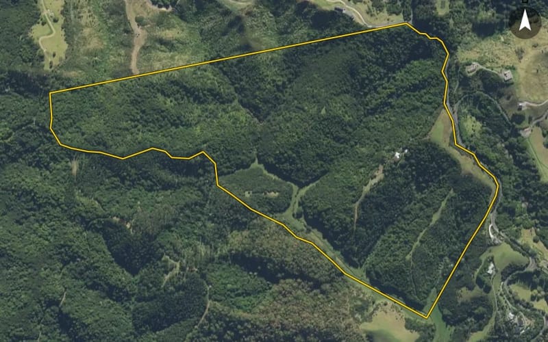 431 Matapouri Road