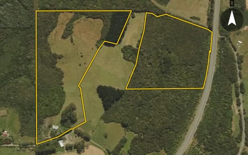 391 Pigeon Flat Road