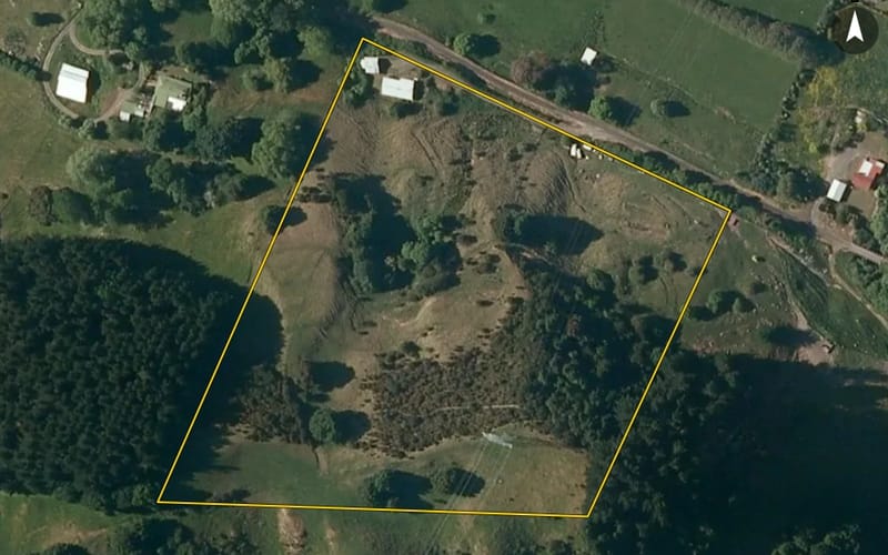 12 Tawa Street
