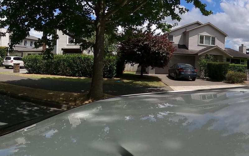 41 Hinau Road