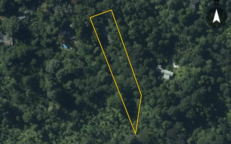 45 Kauri Loop Road