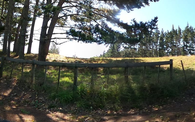 353A Ararimu Road