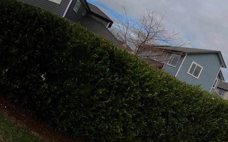 49 Pickaberry Avenue