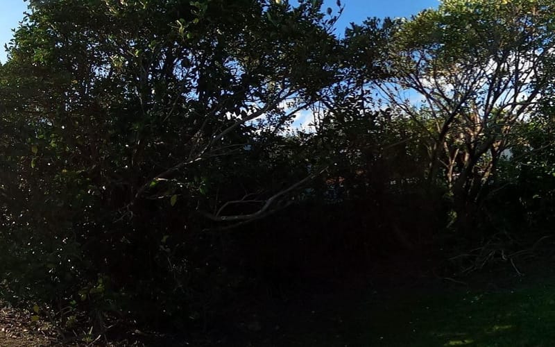 11H Clearwater Cove