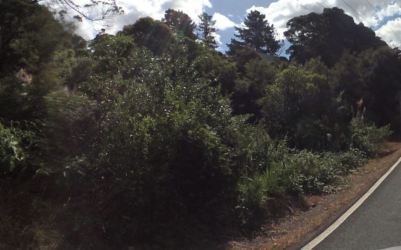 4 Waitakere Road
