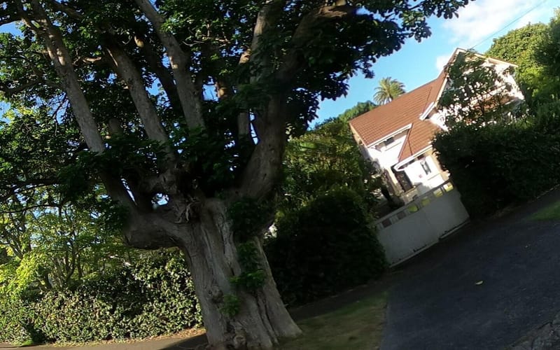 1 Stilwell Road
