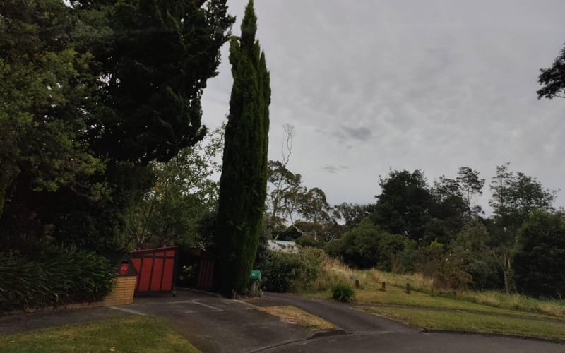 101 Clifton Terrace