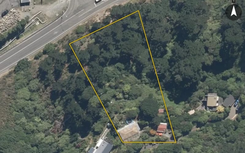 21 Nikau Road