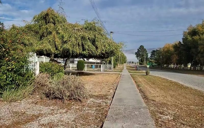 14 Domain Road
