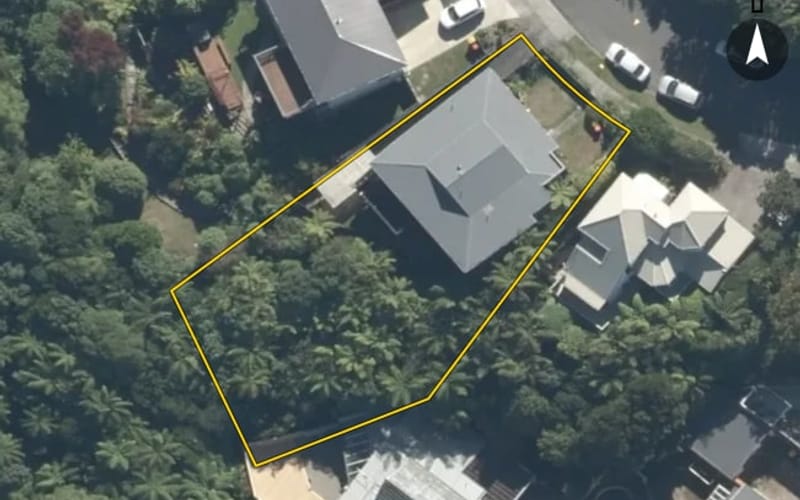 2 Hibiscus Grove