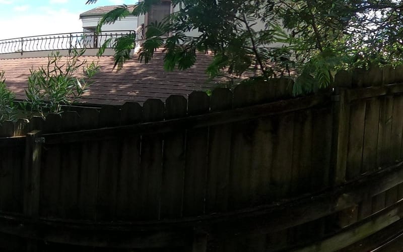 107 Penguin Drive