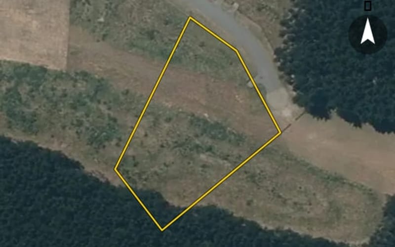 10 Mowhia Grove