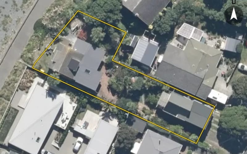 12 Pukatea Street
