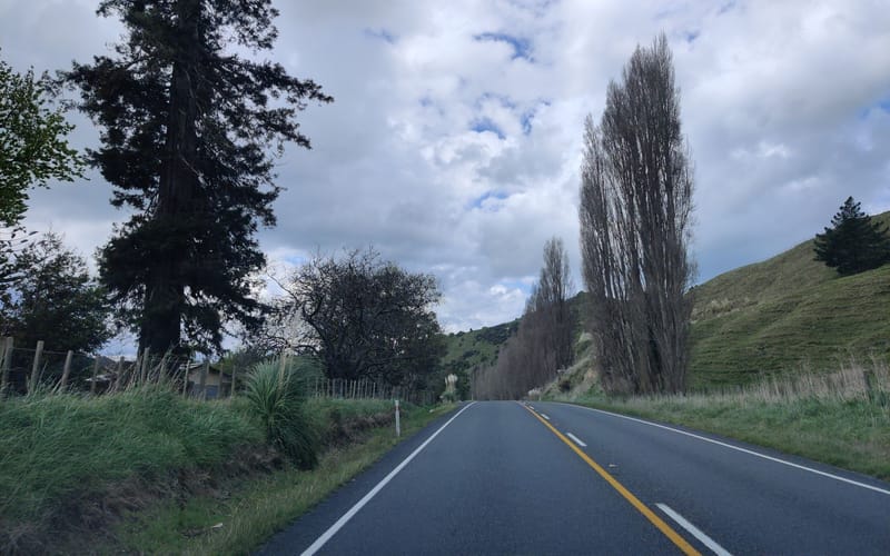 71 State Highway 4