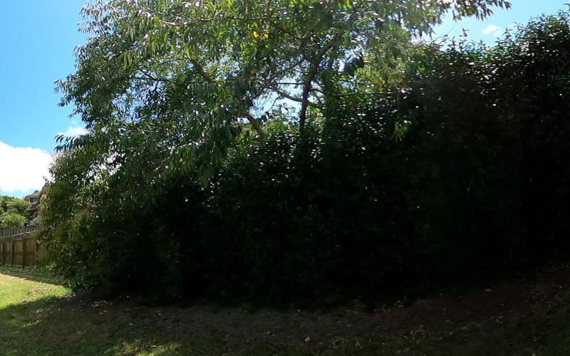 35 Pinewood Grove