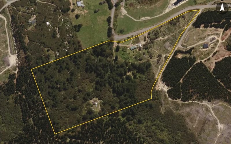 789 Blueskin Road