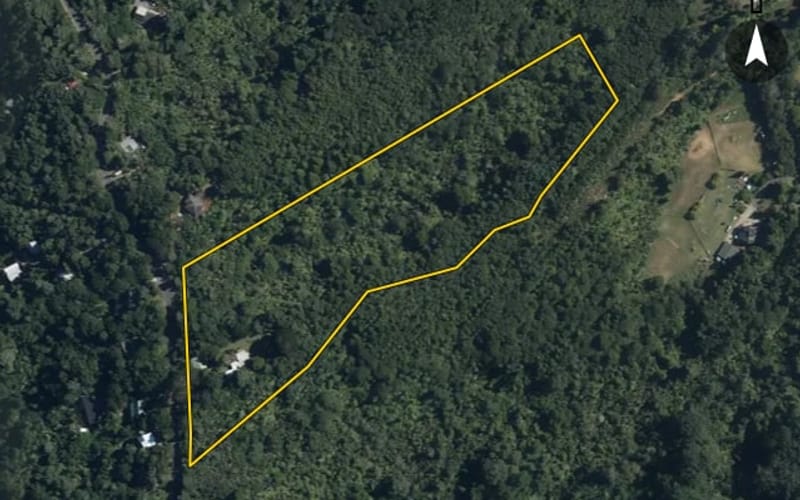 103 Hinau Road