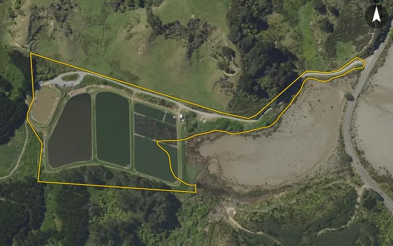 136 Wainui Road