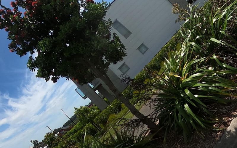 11 Heaphy Lane