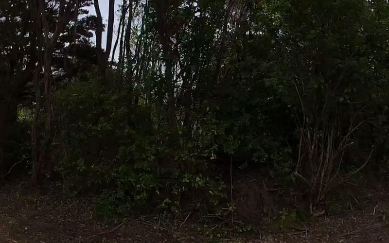 1088 Matapouri Road