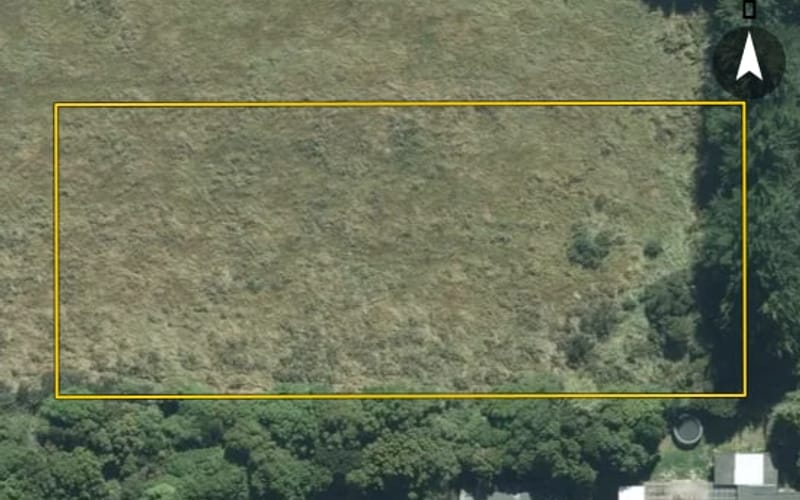 41 Tī Kōuka Way
