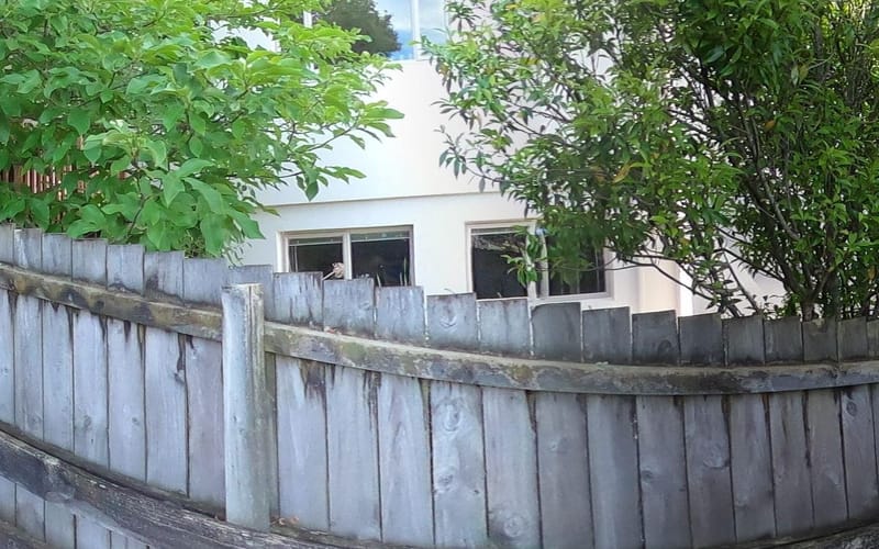 83 Penguin Drive