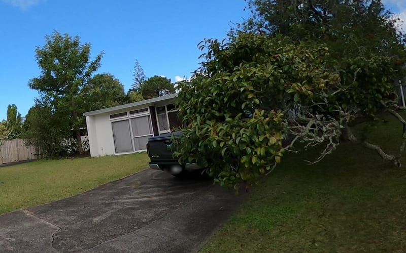 7 Orcades Place