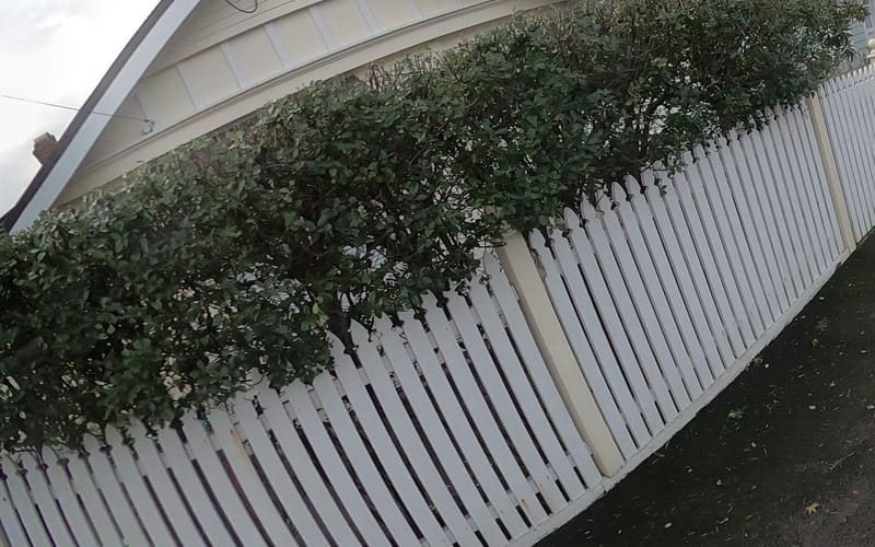 90 Calliope Road