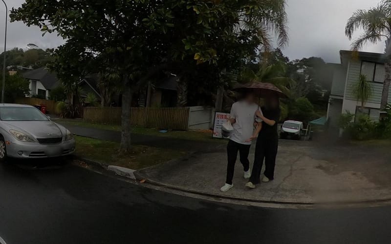 17 Springvale Drive