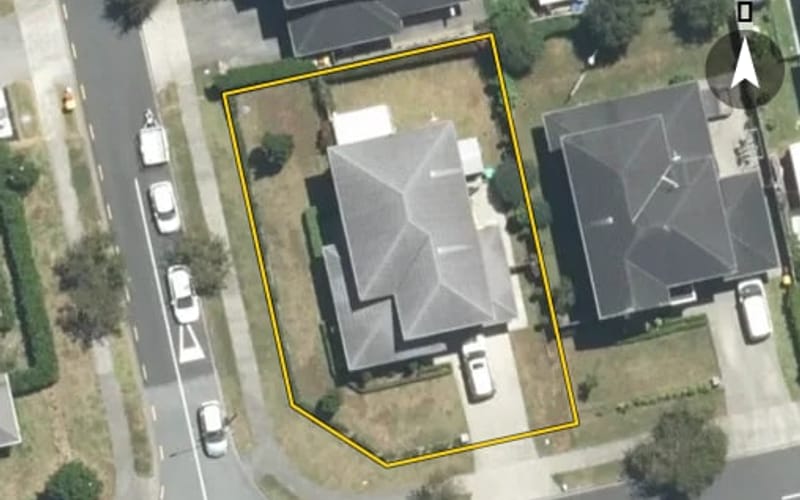 10 Allium Avenue