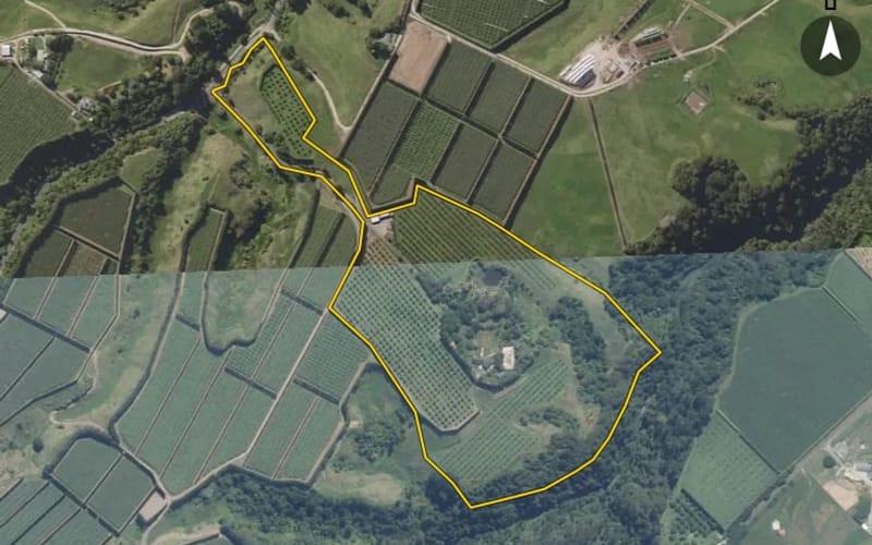 699 Rangiuru Road