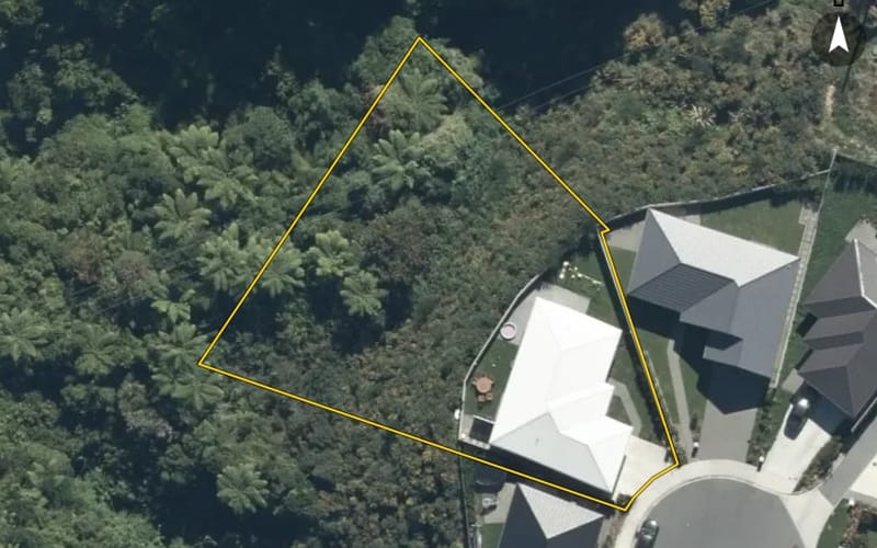 9 Takapō Grove