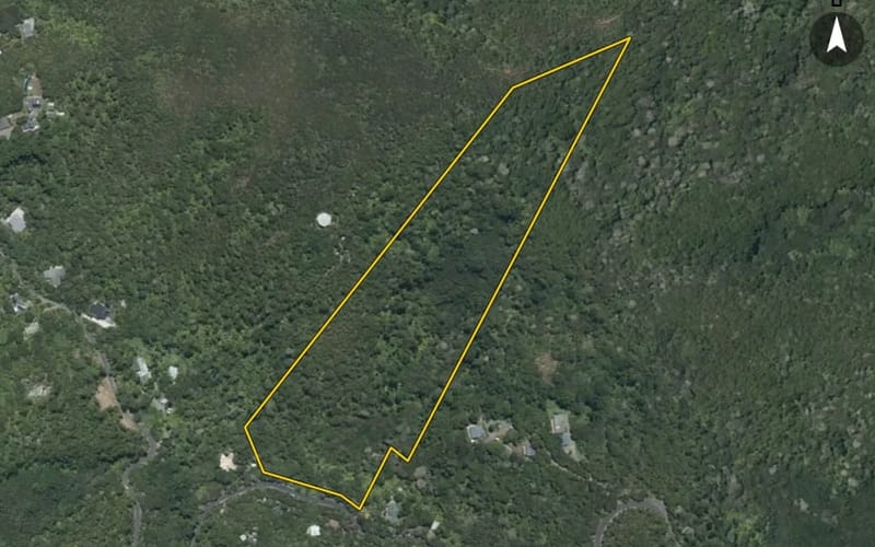 62 Lone Kauri Road