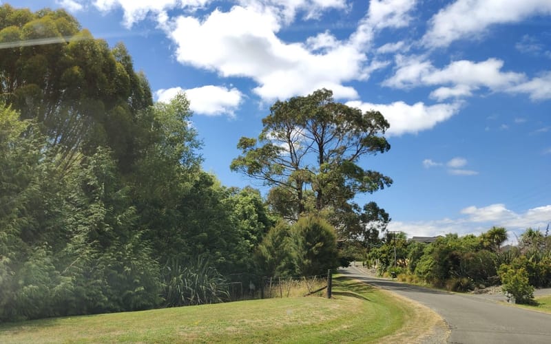 60 Waicola Drive