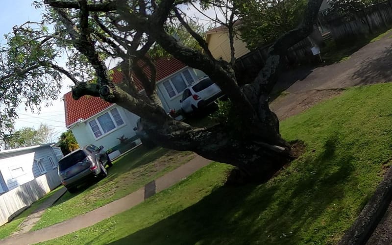5 Parrish Road