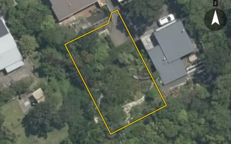 161 Cockayne Road