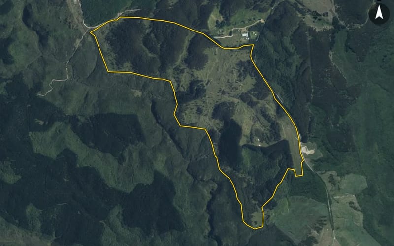 400 Puketapu Road